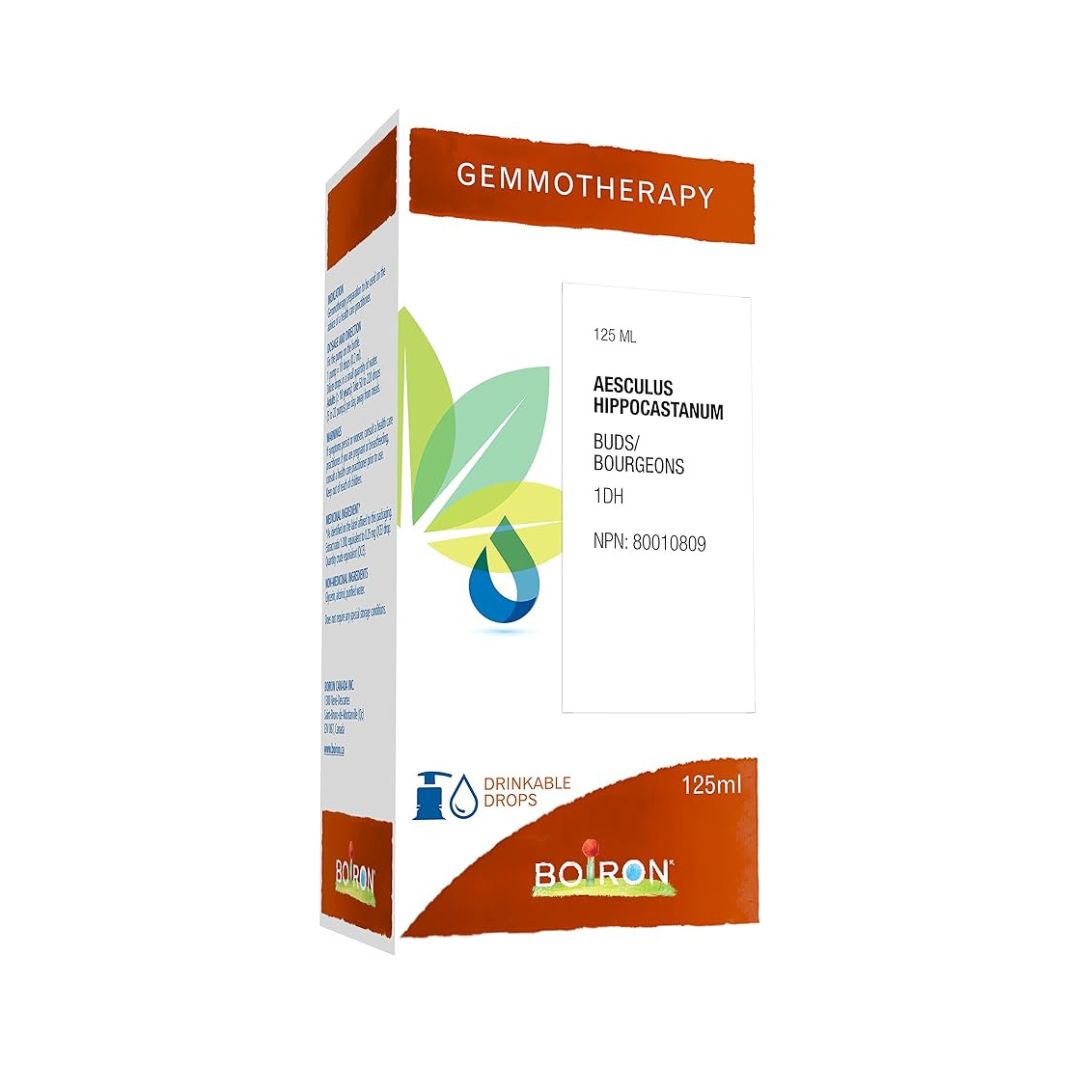 Aesculus Hippocastanum 1DH Gemmotherapy
