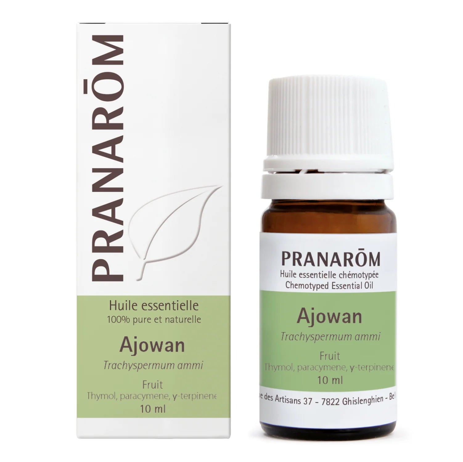 Ajowan