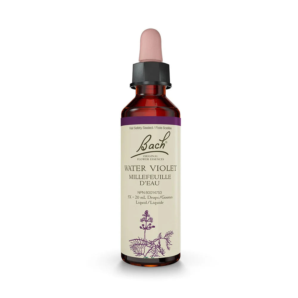 Bach Water Violet