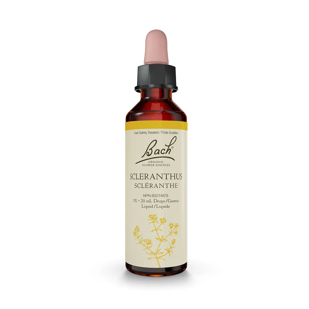 Bach Scleranthus