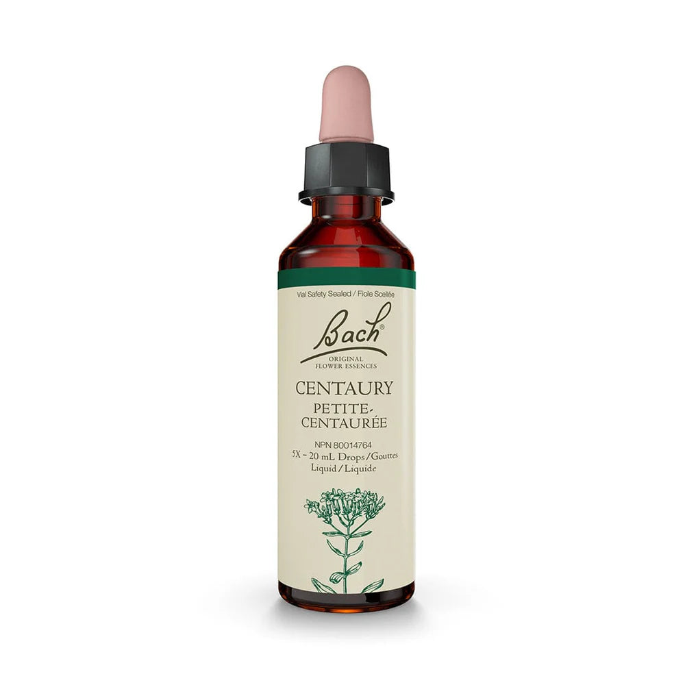 Bach Centaury