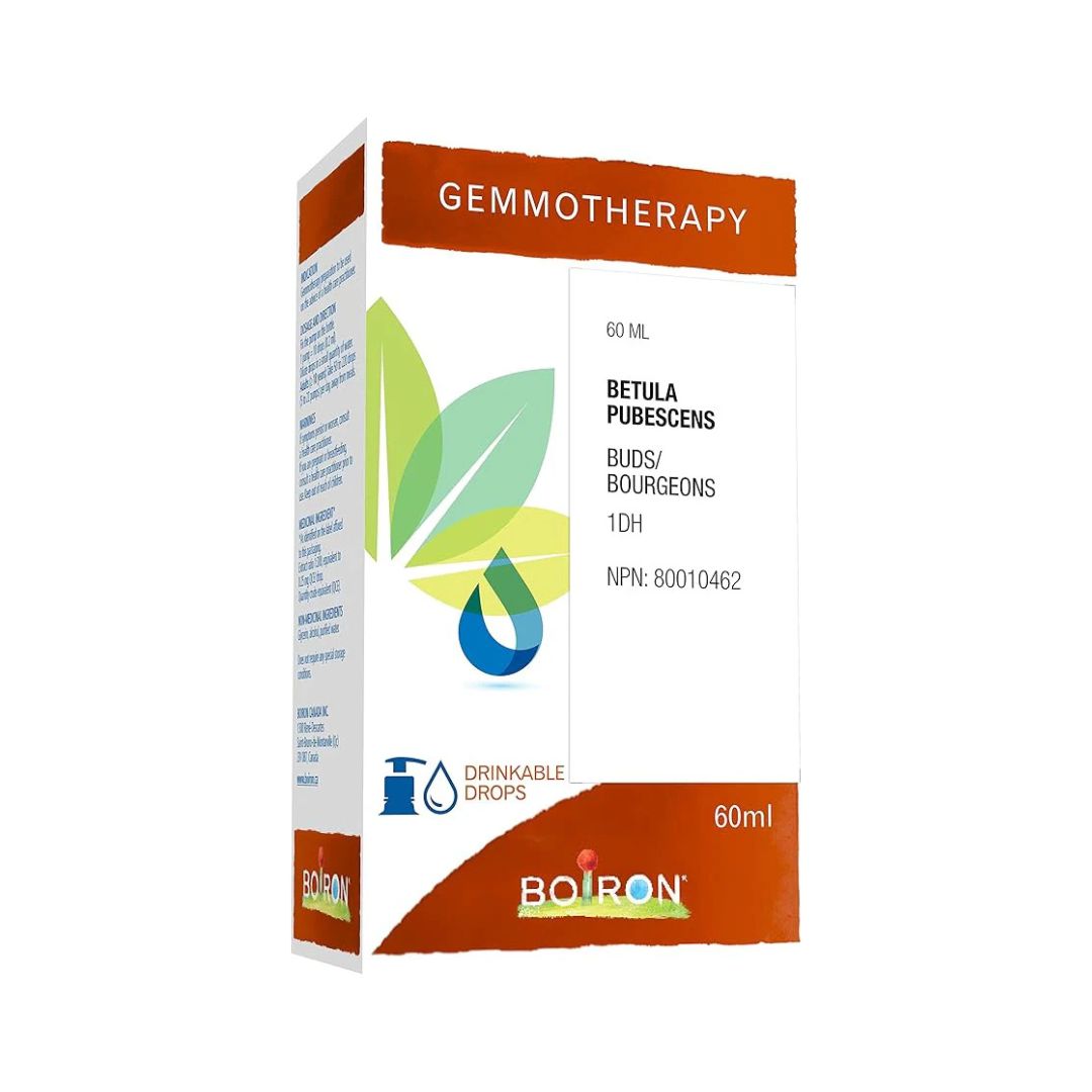 Betula Pubescens 1DH Gemmotherapy