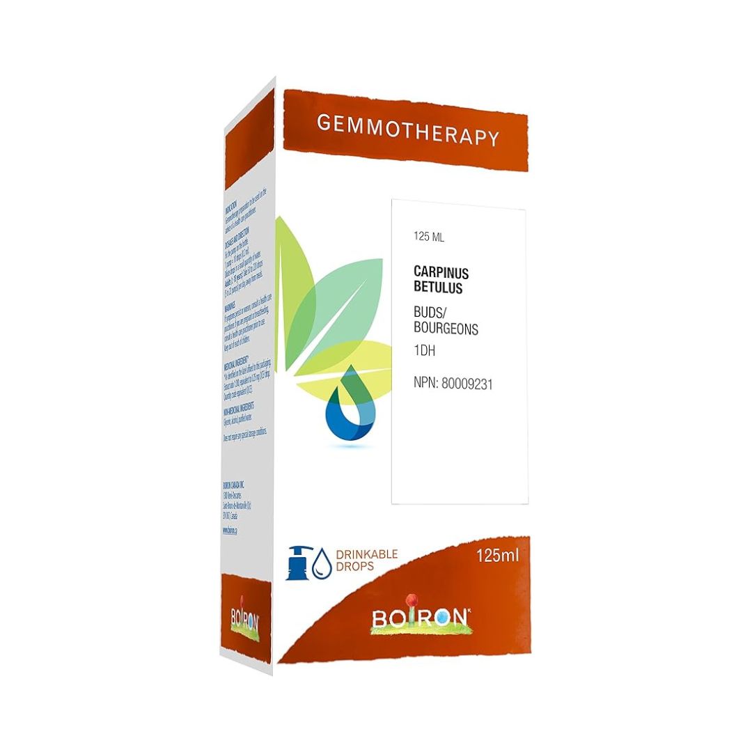 Carpinus Betulus 1DH Gemmotherapy