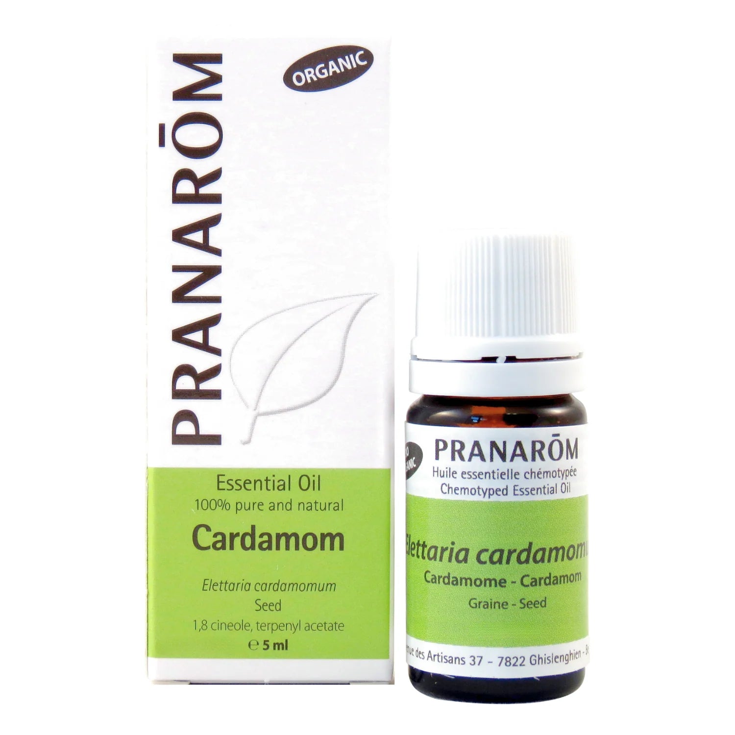 Cardamom