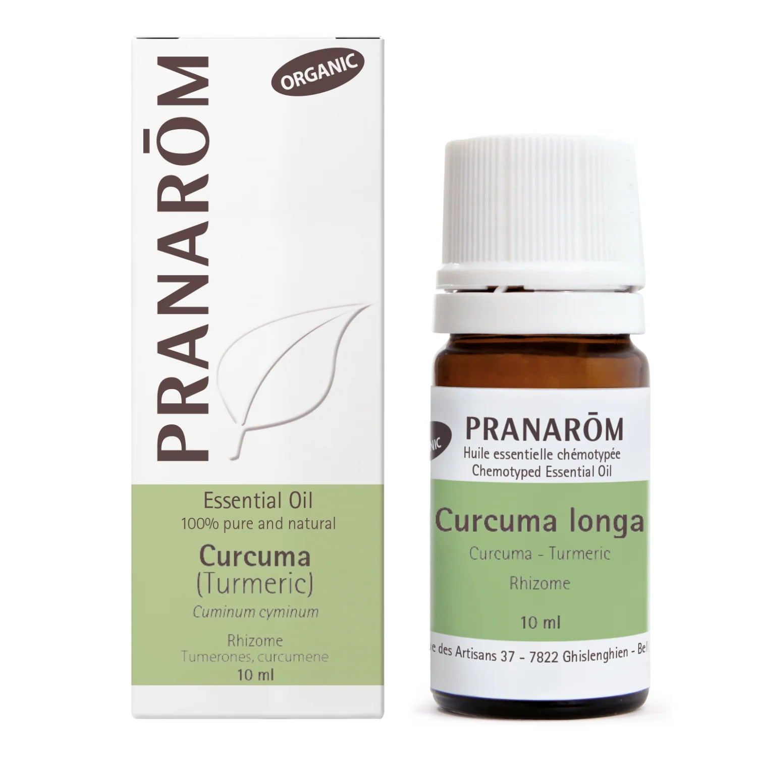 Curcuma