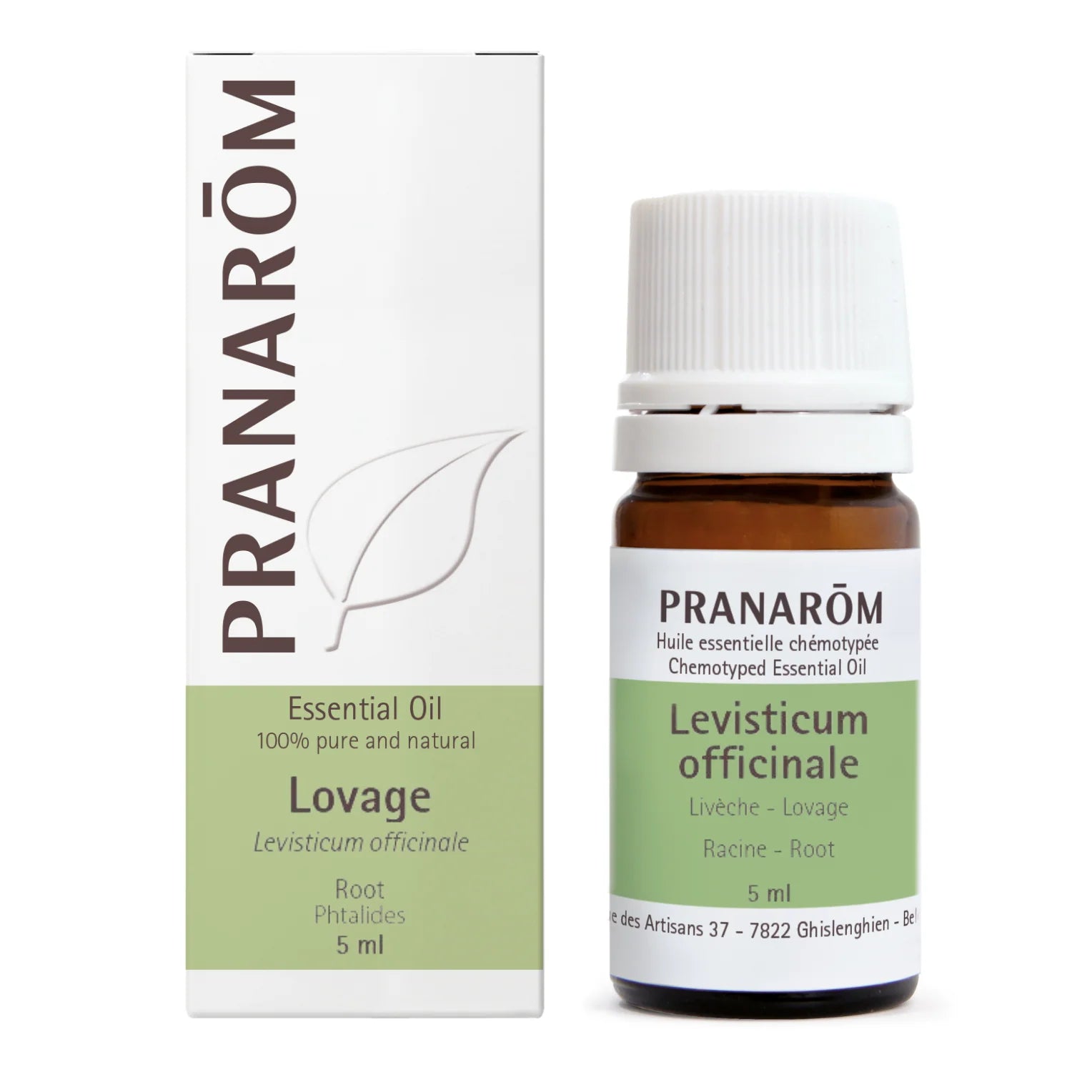 Lovage