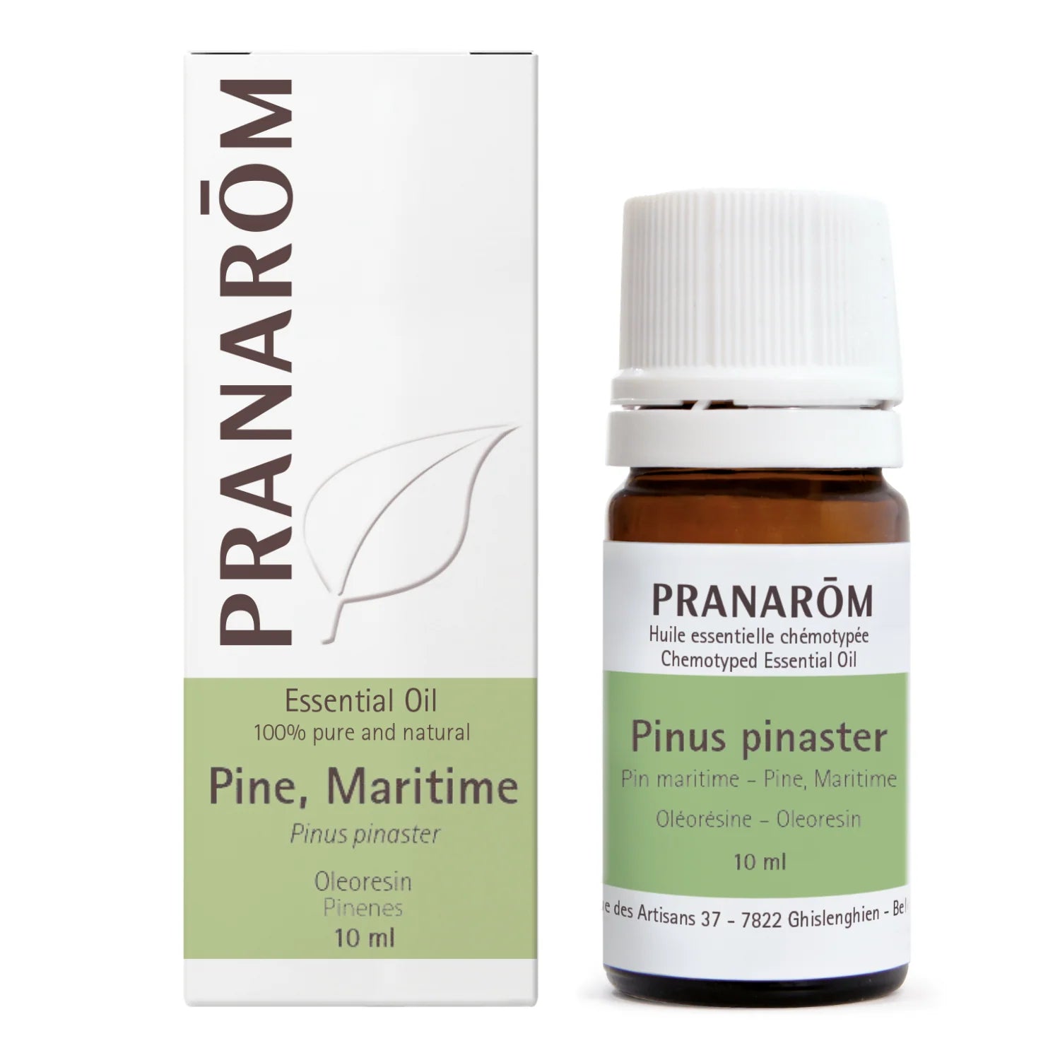 Pine, Maritime (turpentine)