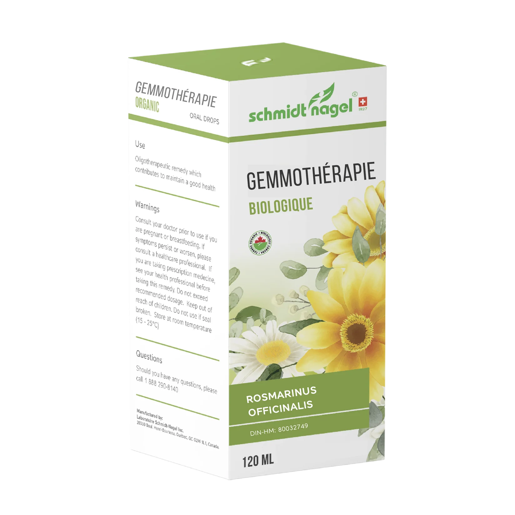 Rosmarinus officinalis Gemmo