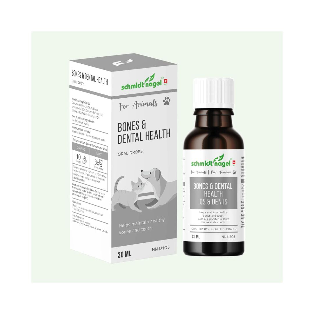 Homeopathy for Animals - Bones and dental health