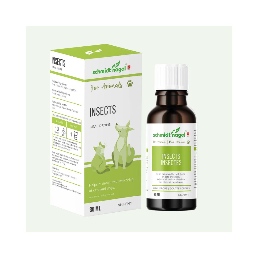 Homeopathy for Animals - Insects