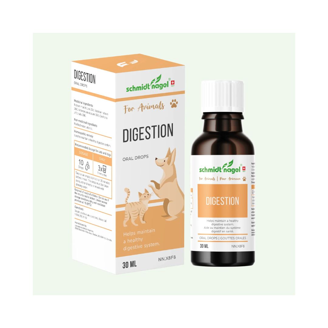 Homeopathy for Animals - Digestion