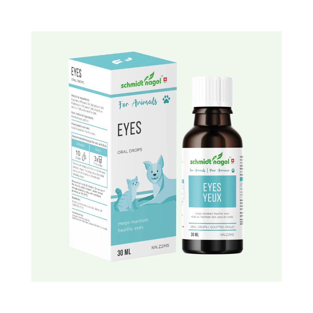 Homeopathy for Animals - Eyes