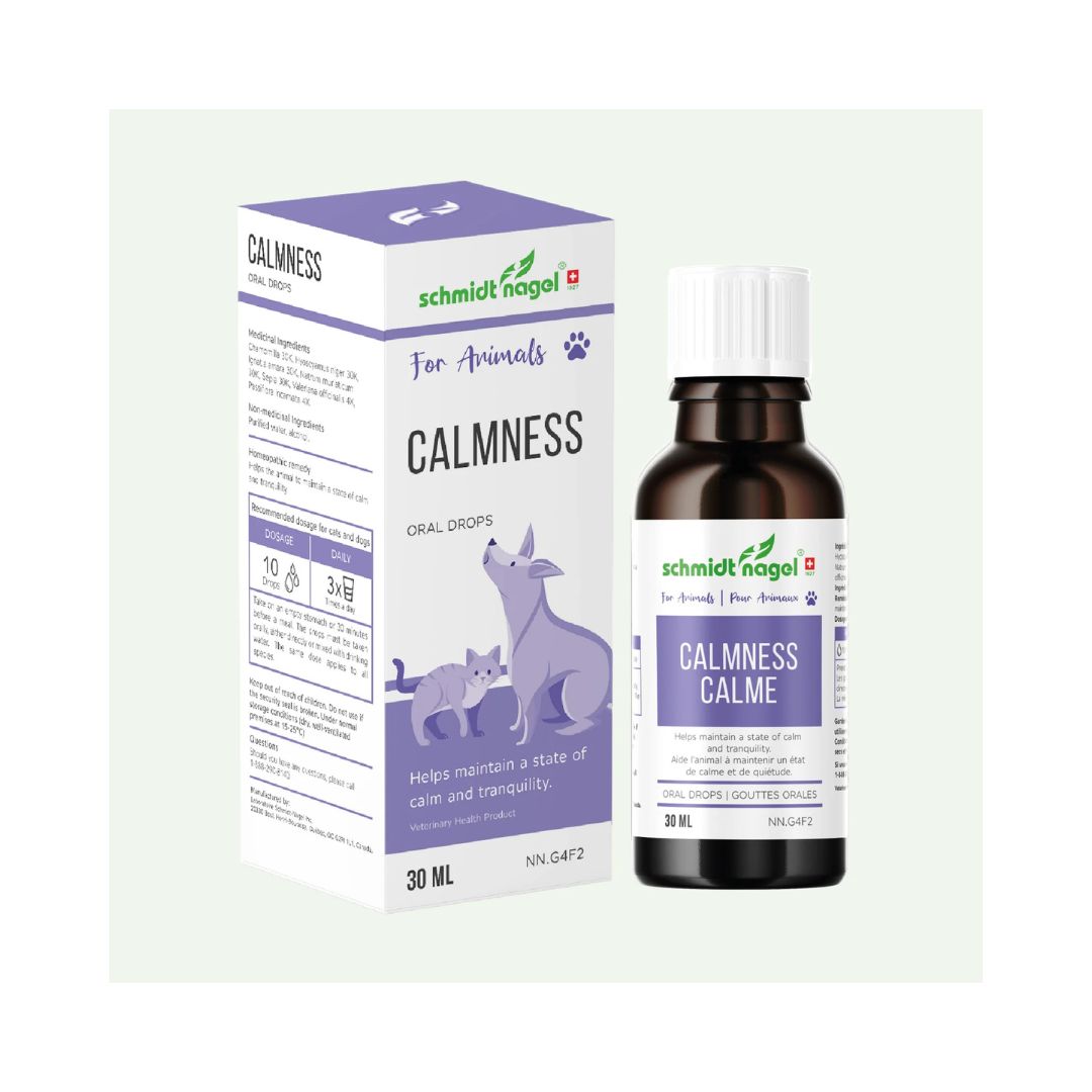 Homeopathy for Animals - Calmness