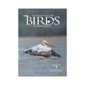 Birds - Joshi