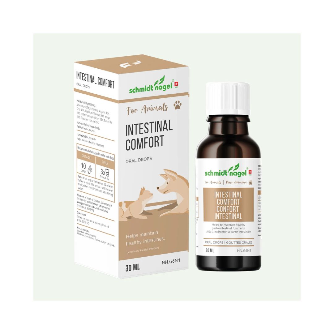 Homeopathy for Animals - Intestinal comfort