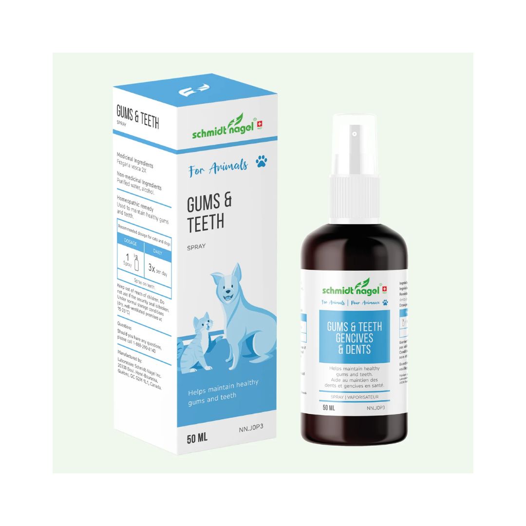Homeopathy for Animals - Gums & Teeth