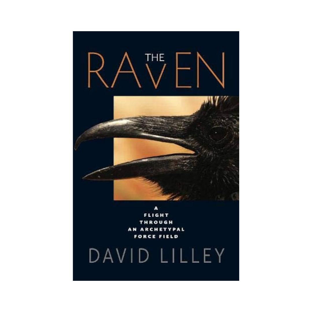 The Raven – A Flight through an Archetypal Force Field by David Lilley