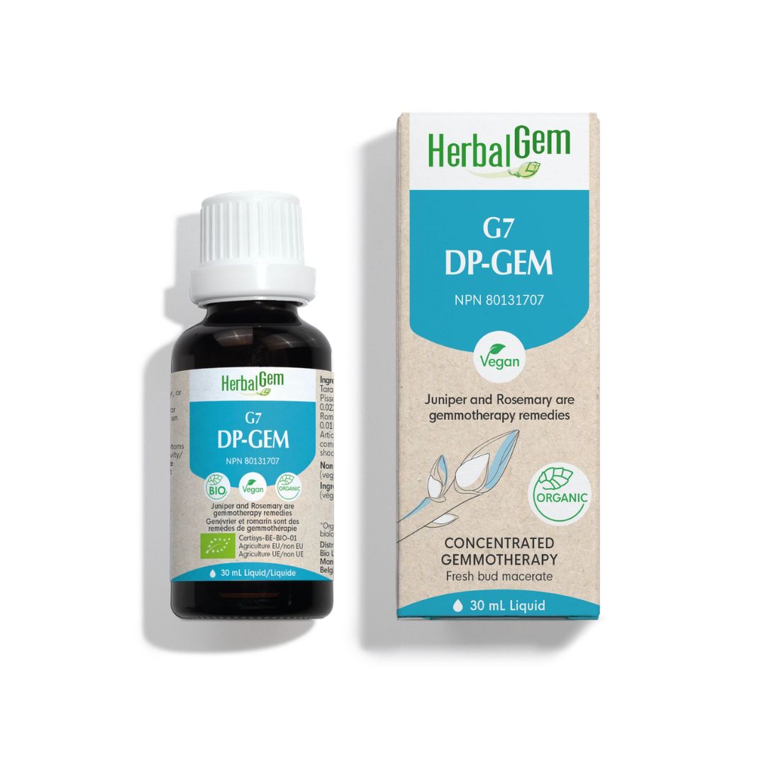 G7 Dp-Gem