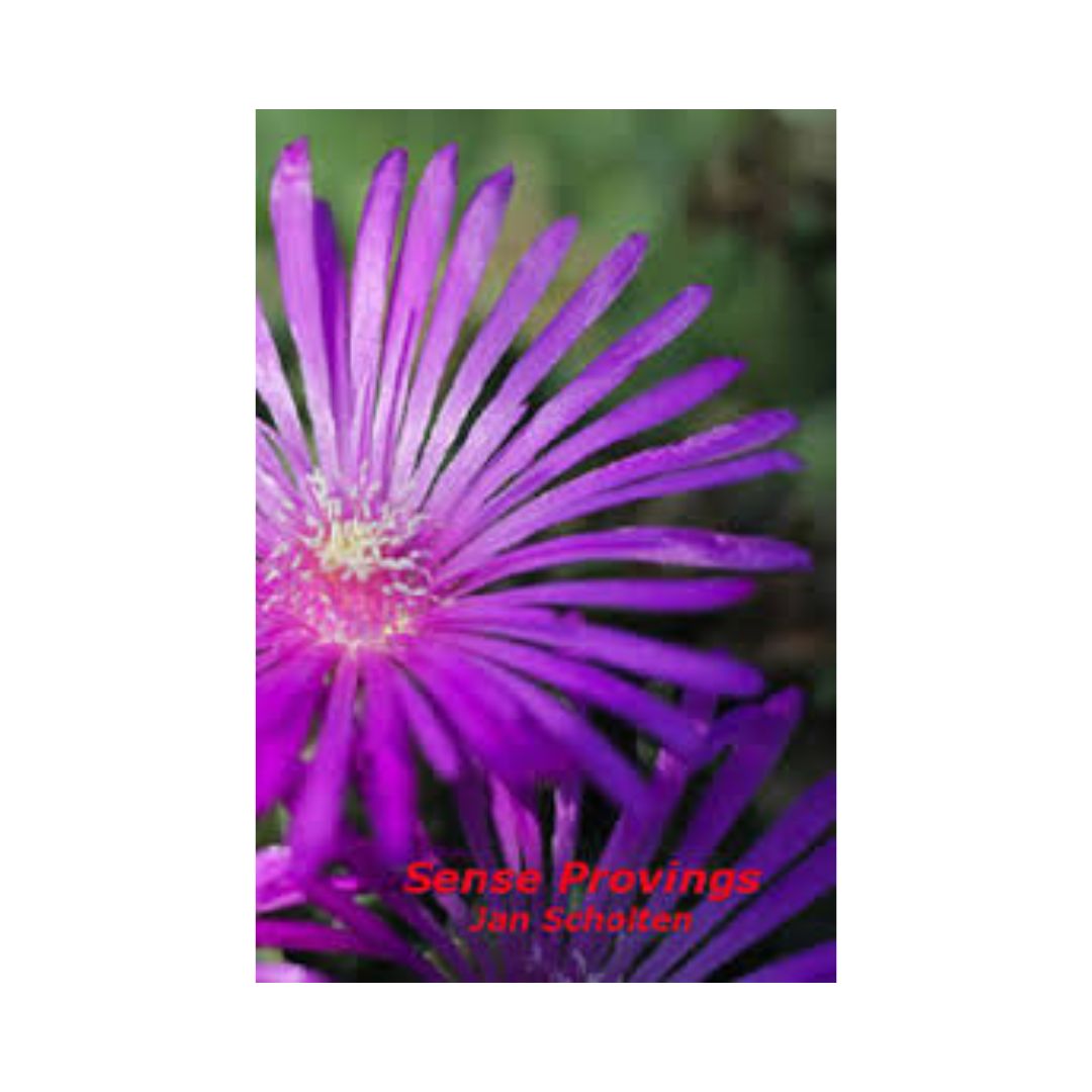 Sense Provings - Jan Scholten