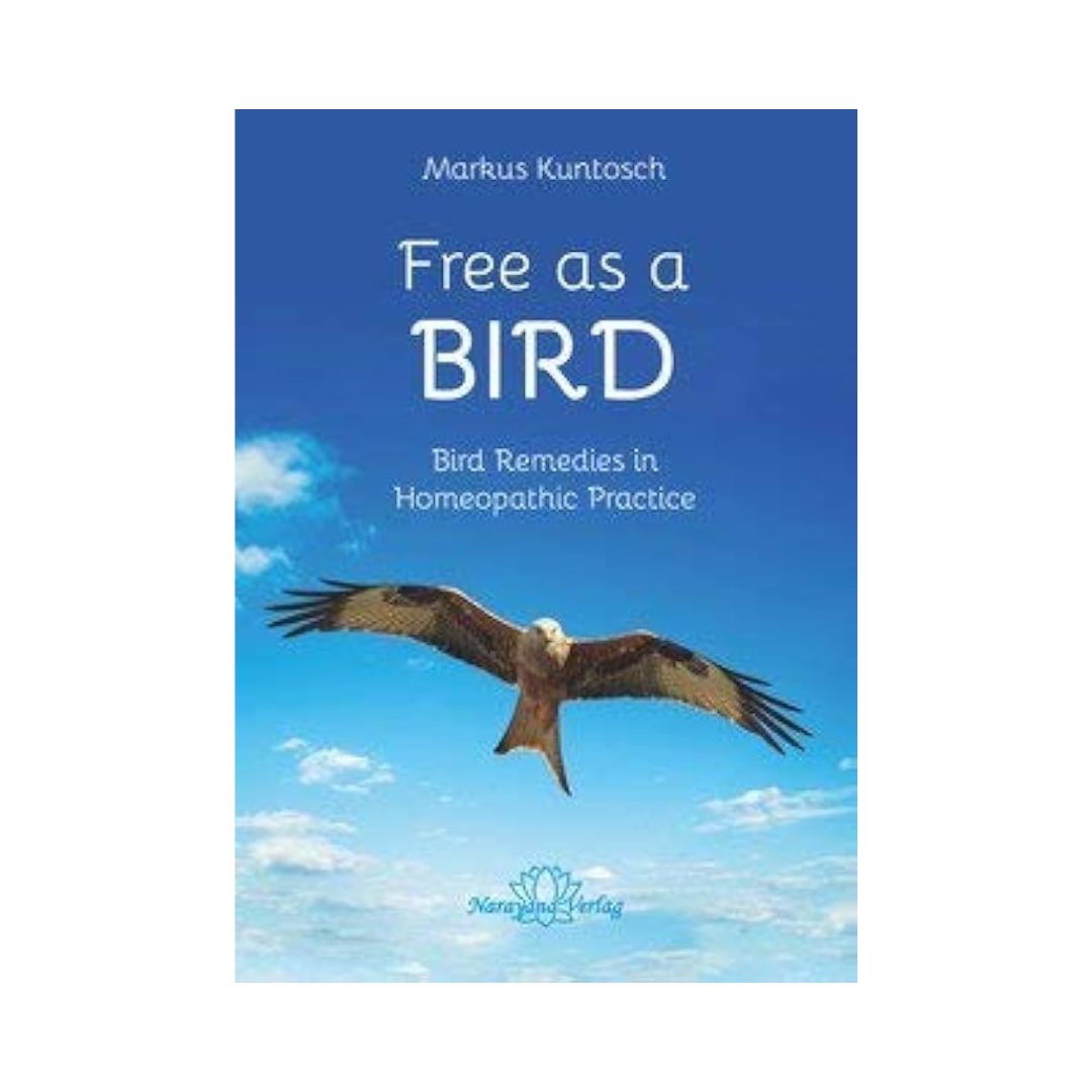Free as a Bird - Kuntosch