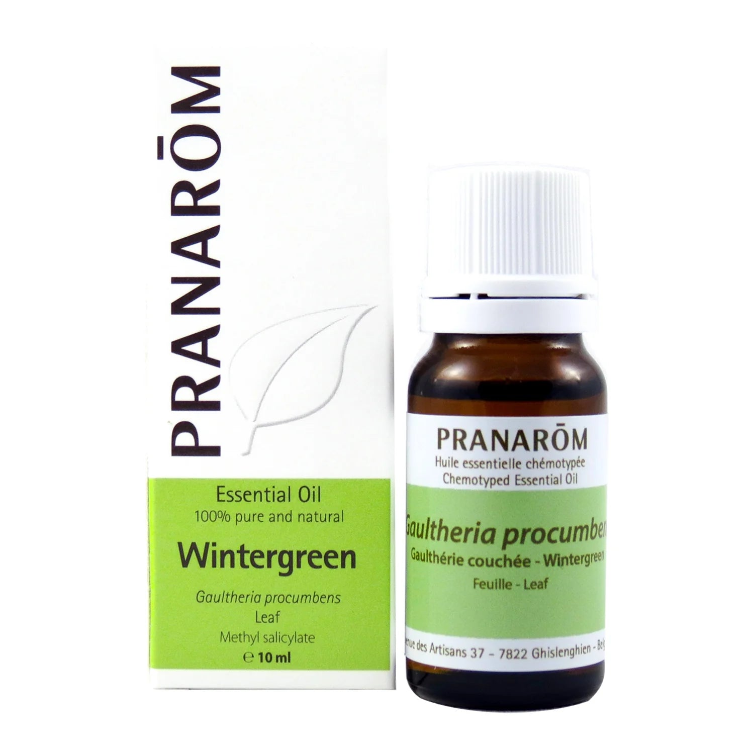 Wintergreen