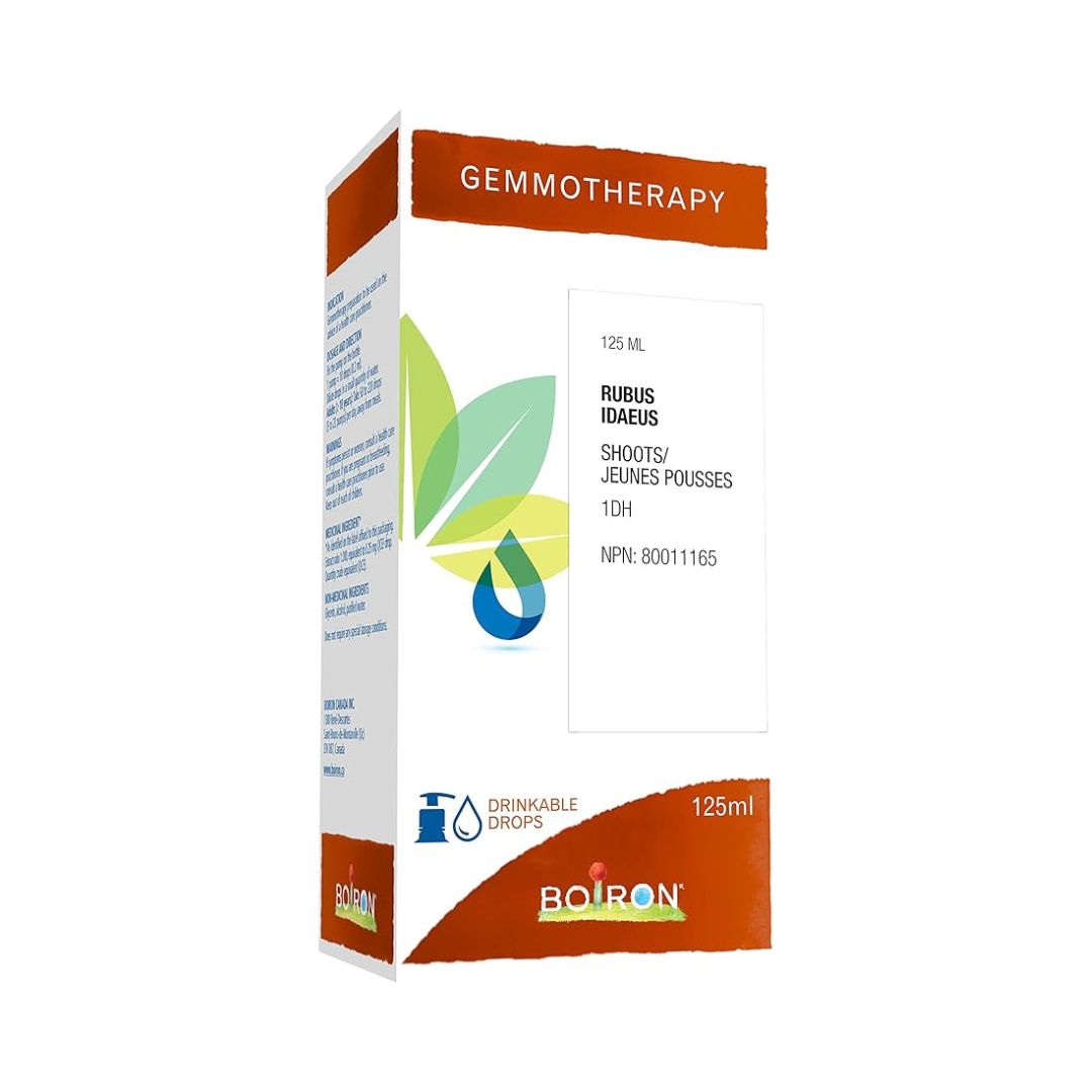 Rubus idaeus 1DH Gemmotherapy