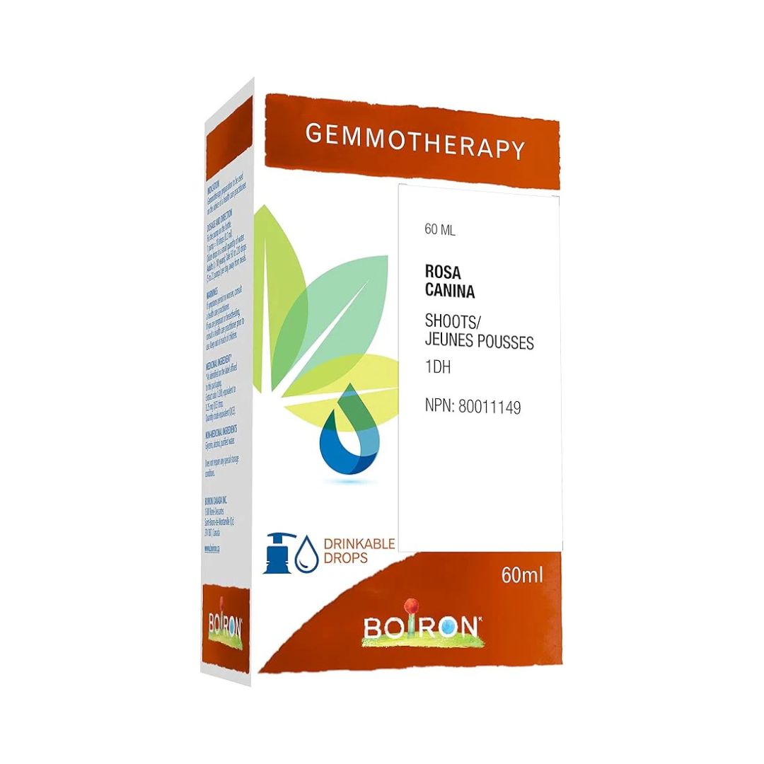 Rosa Canina 1DH Gemmotherapy