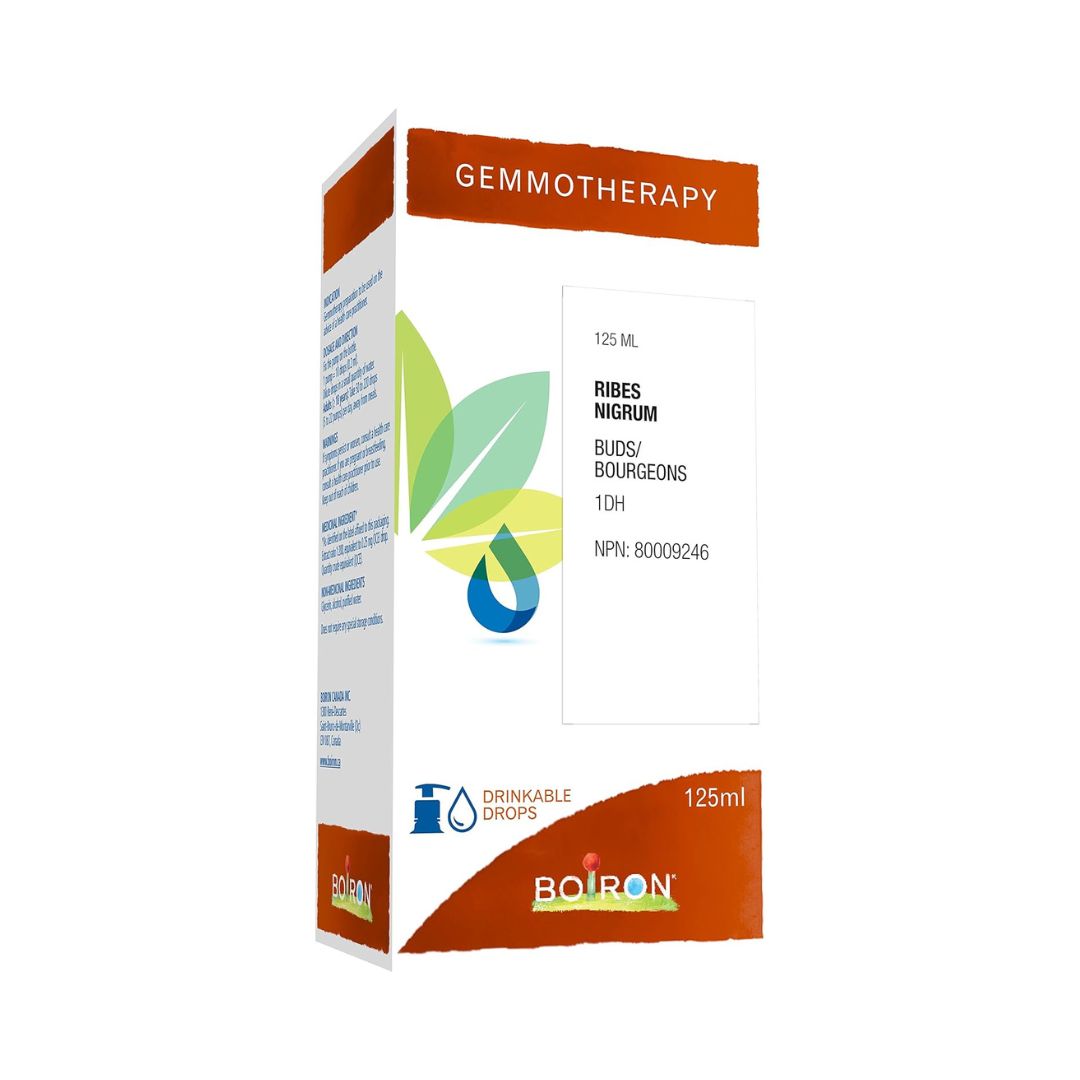 Ribes Nigrum 1DH Gemmotherapy