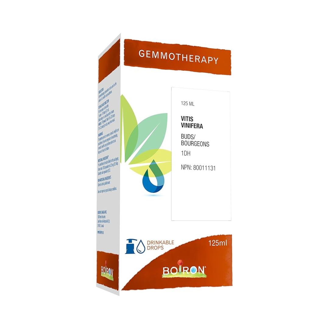 Vitis Vinifera 1DH Gemmotherapy