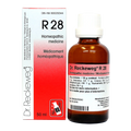 R28
