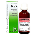 R29